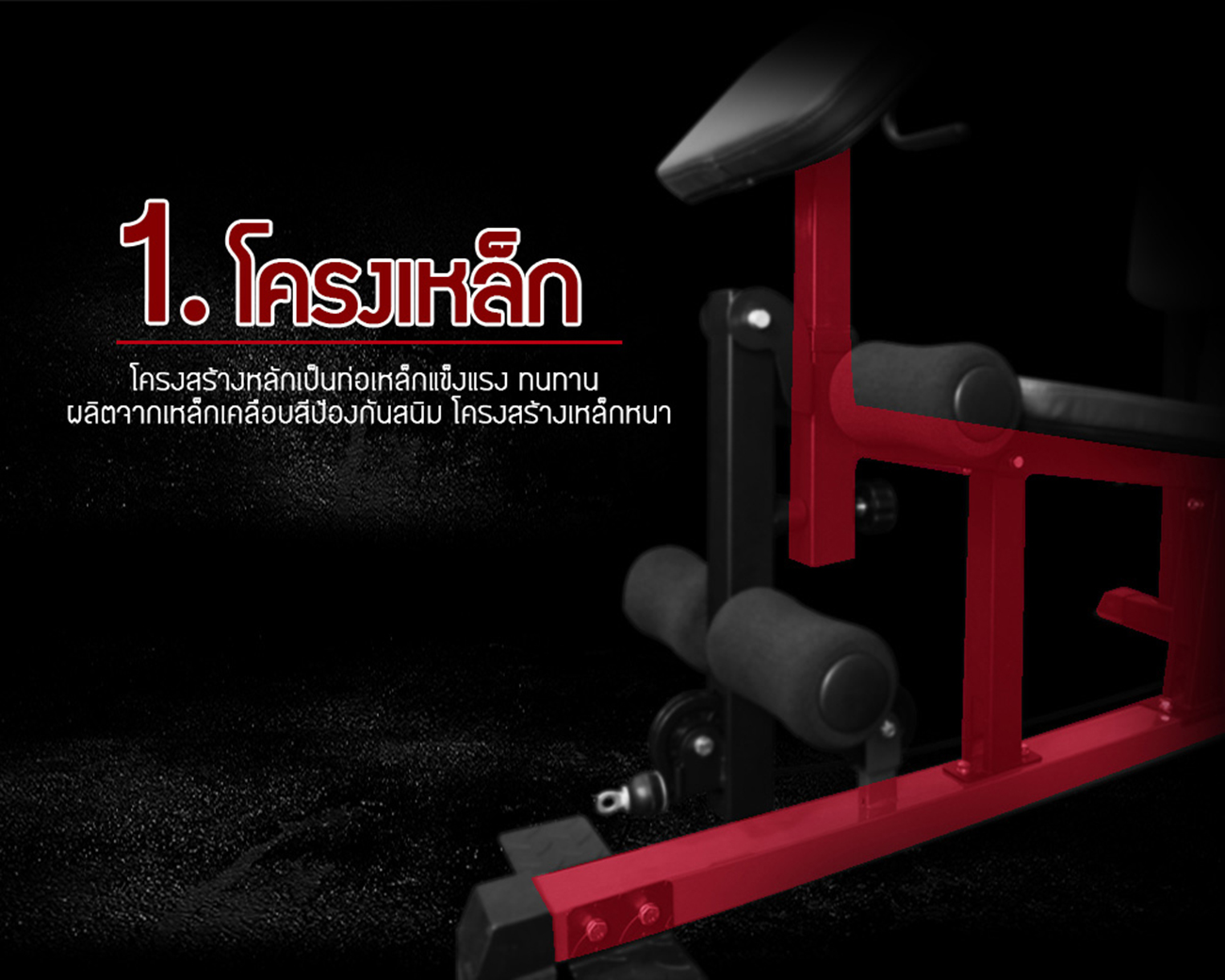 Multi Gym with Boxing Station รุ่น TO-178B