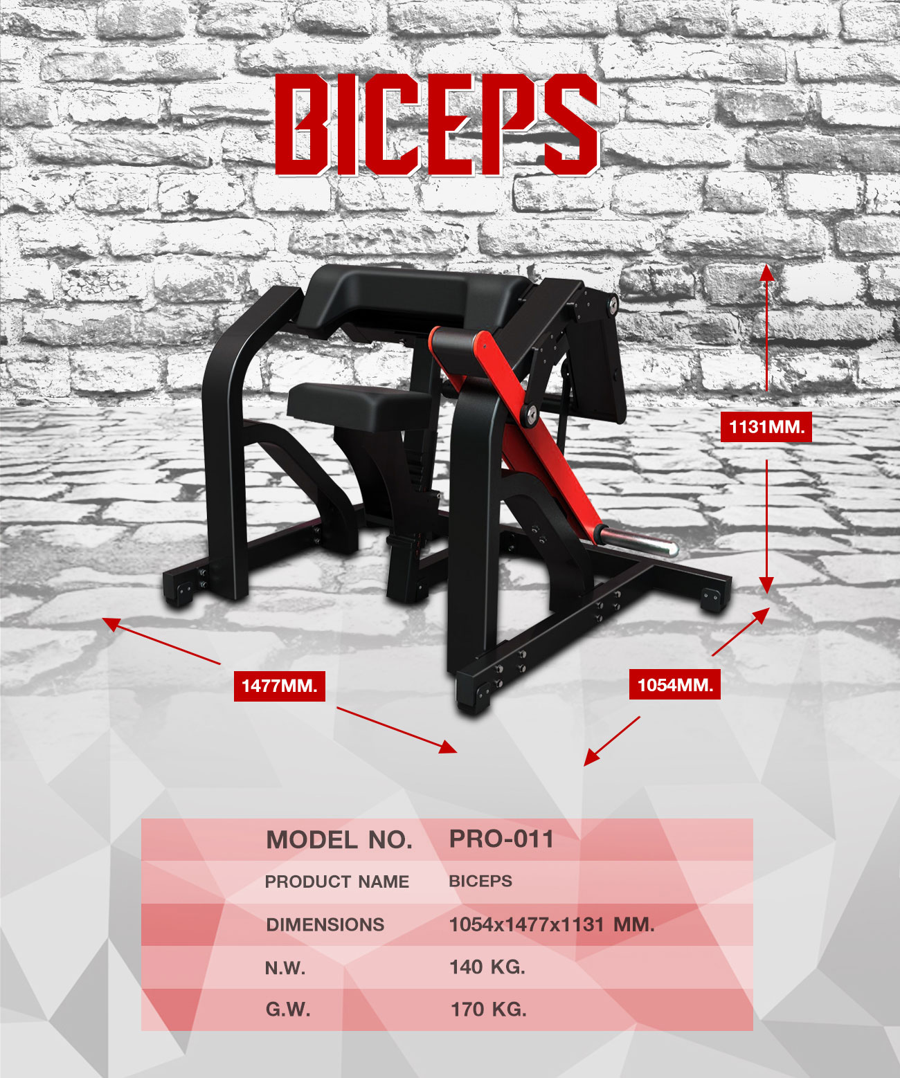 360 Ongsa Fitness Biceps